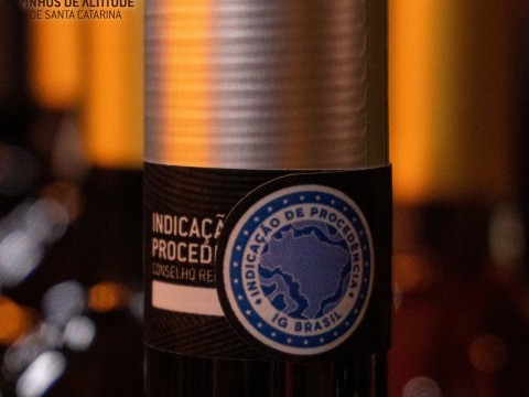 Novos Vinhos de Altitude de Santa Catarina recebem Selo de Identificação de Procedência (IP)