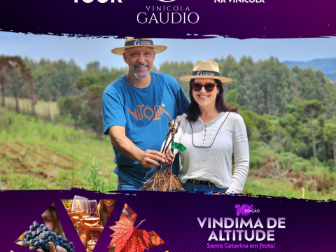 Tour Vinícola Gaudio