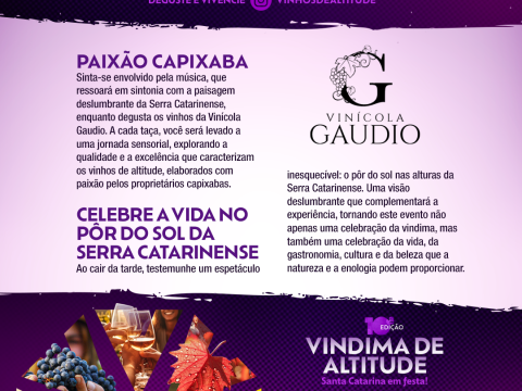 Tour Vinícola Gaudio