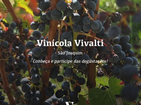 Vivalti Vinícola